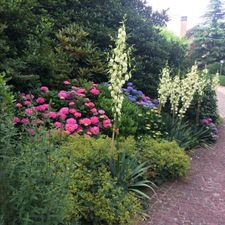 Profile image of Wassergarten