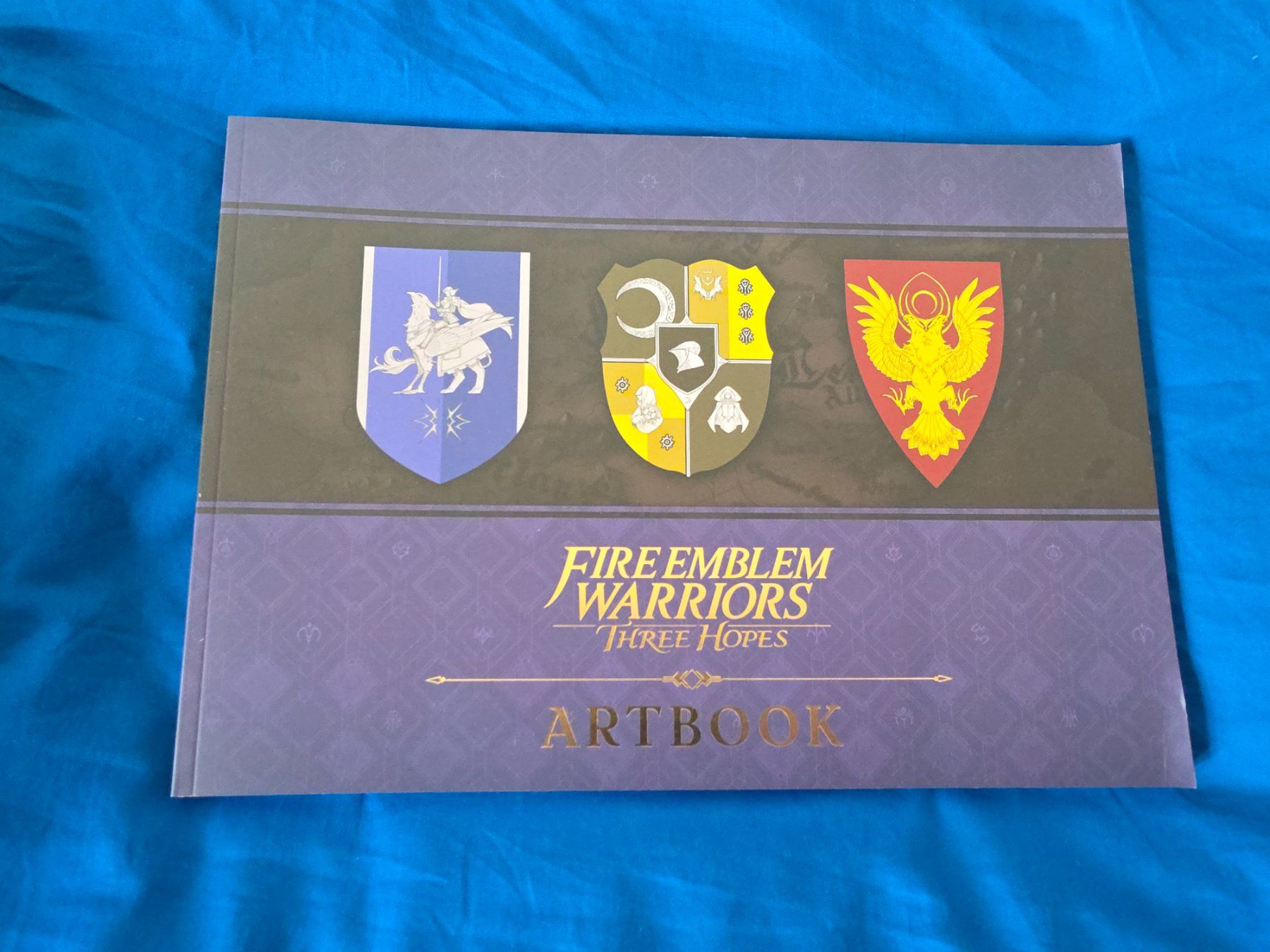 Nintendo Giochi: Collector Fire Emblem Warriors Three Hopes – Usato da La Neuveville venduto da bou_pm2c 4
