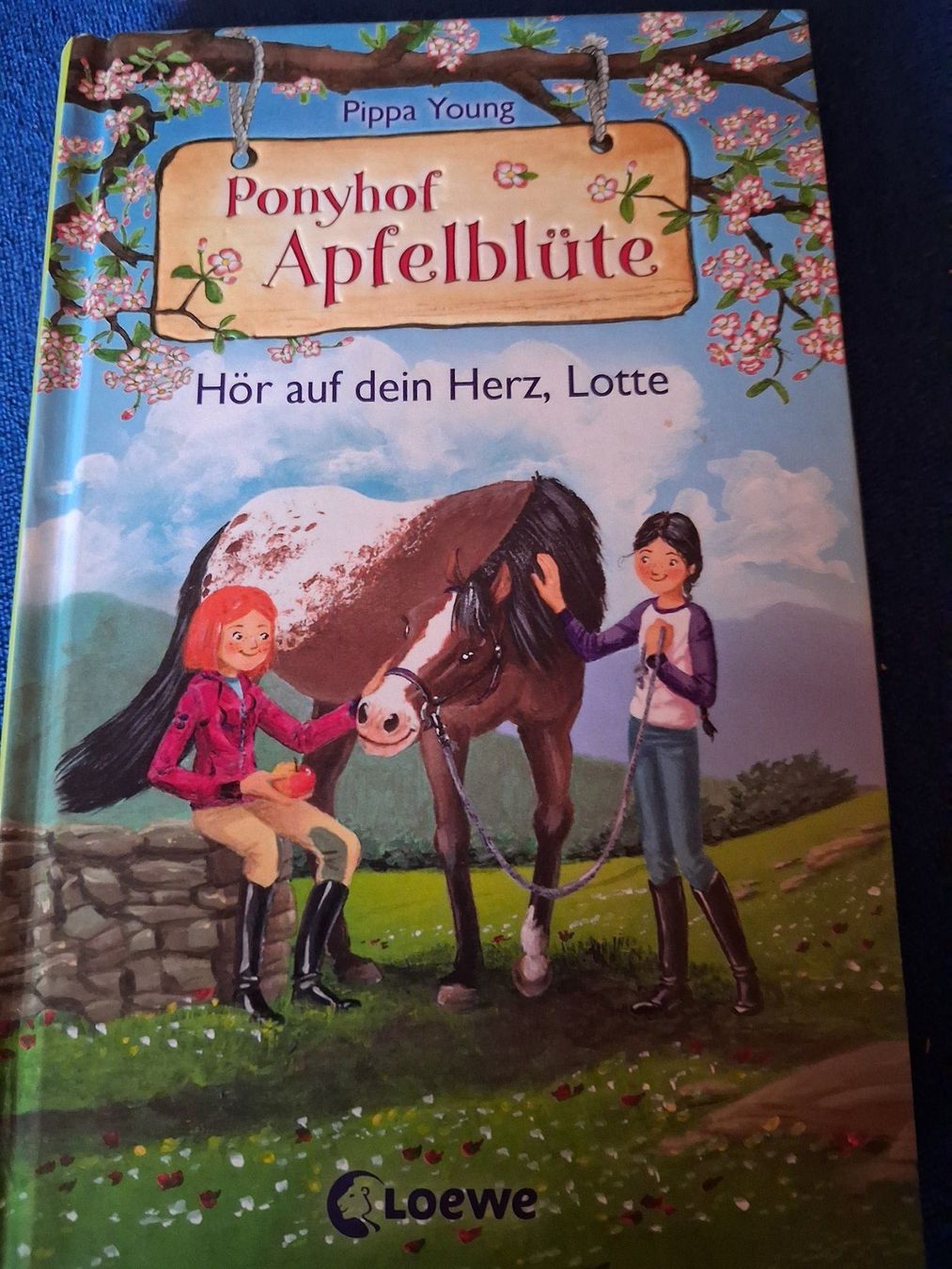 Bücher: Ponyhof Apfelblüte Band 17 – Gebraucht aus Bächli (Hemberg) von Stern015