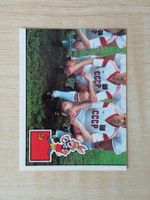 Panini Euro 1988 Einzelsticker Nr. 237