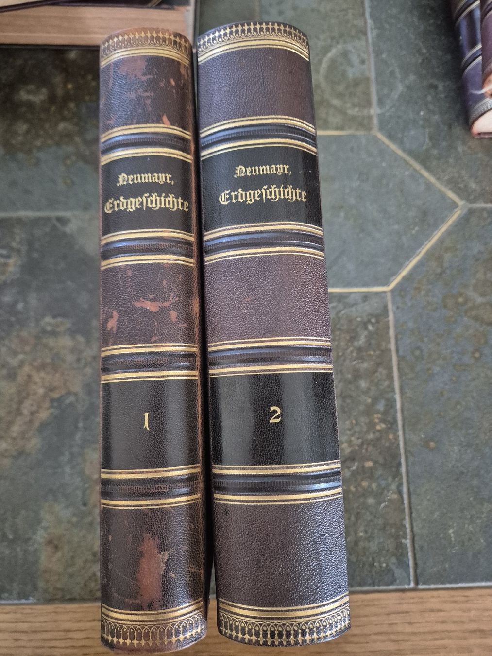 Bücher: Neumeyer Erdgeschichte – Gebraucht aus Schlieren von HuiBu 3