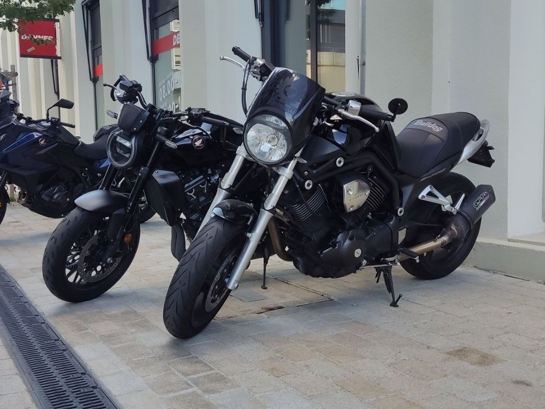 Yamaha Strasse: Yamaha Bulldog BT1100 – Gebraucht aus Schaffhausen von Buell1125CR 3