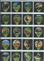 KRD.Landwirtschaft 1991 / 226 B