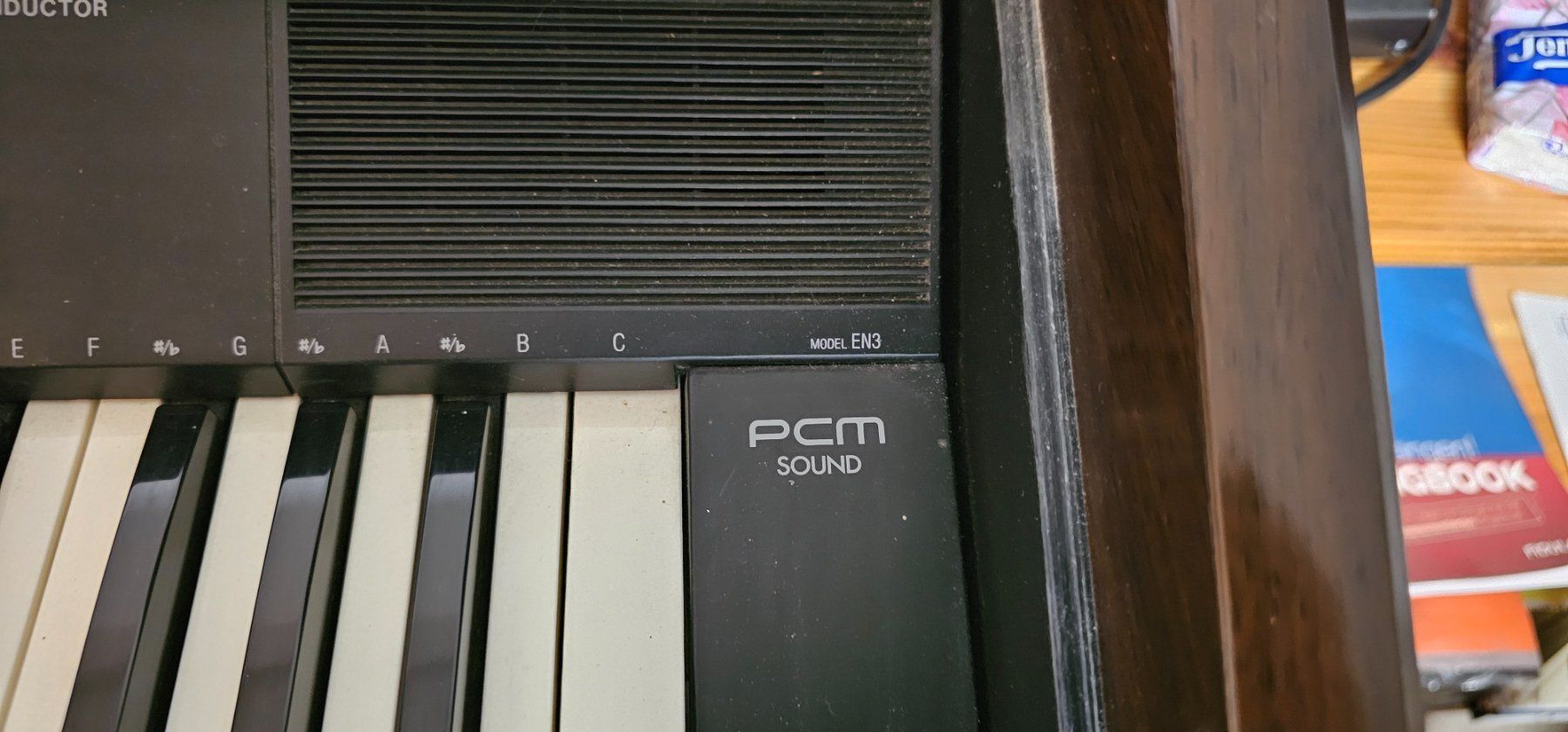 Technics Strumenti musicali: Technics Digital-Keyboard mit Hocker, Topzustand – Usato da Sins venduto da sagitarius58 3