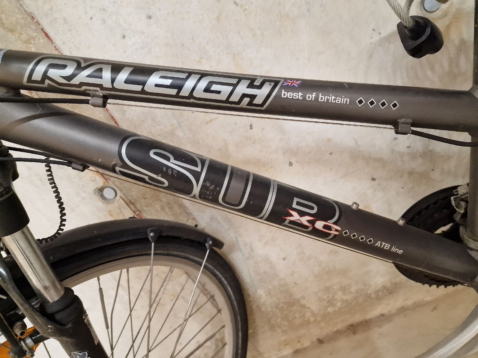 Biciclette: fahrrad raleigh damen grau – Usato da wetzikon venduto da Bestedienste 1