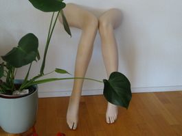 Schaufensterpuppe  Frauenbeine