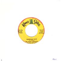THE LOVIN' SPOONFUL