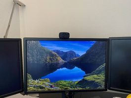 Dell Ecran (20 ecran)