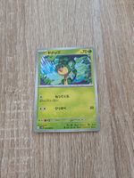 PANSAGE, BLACK BOLT, SV11B, COMMON, 2025, JAP, NM/MT