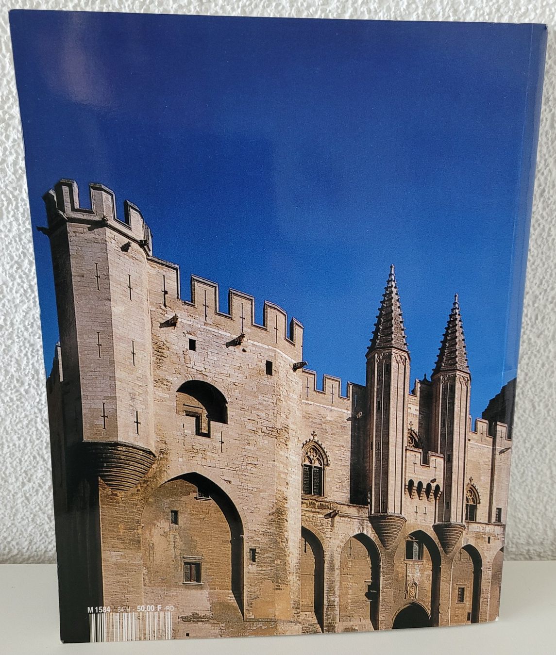 Libri: Der Palast der Päpste – Usato da Oberuzwil venduto da rtr_wp6m 2