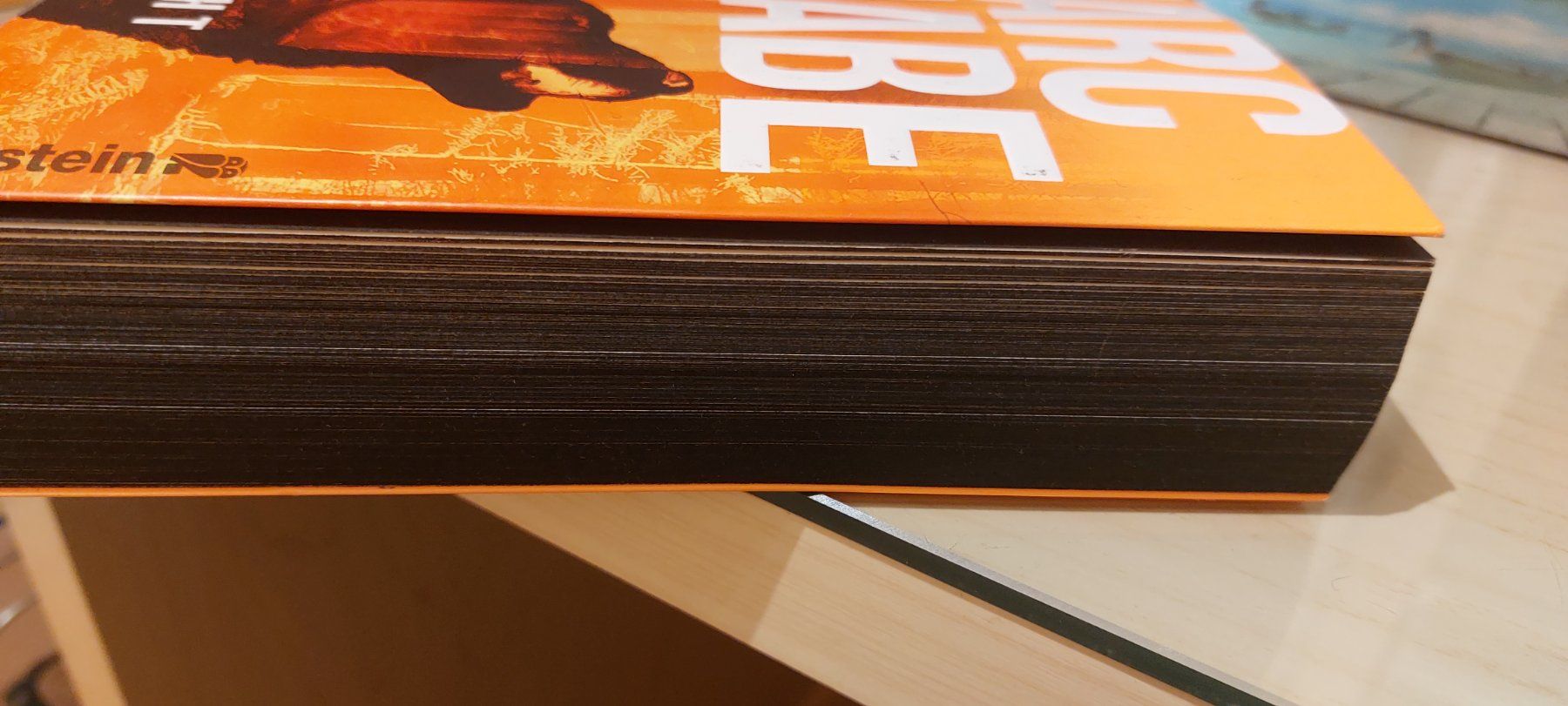 Bücher: Die Nacht von Marc Raabe – Gebraucht aus Samstagern von Bladetigi 2