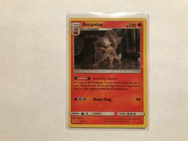 Arcanine holo