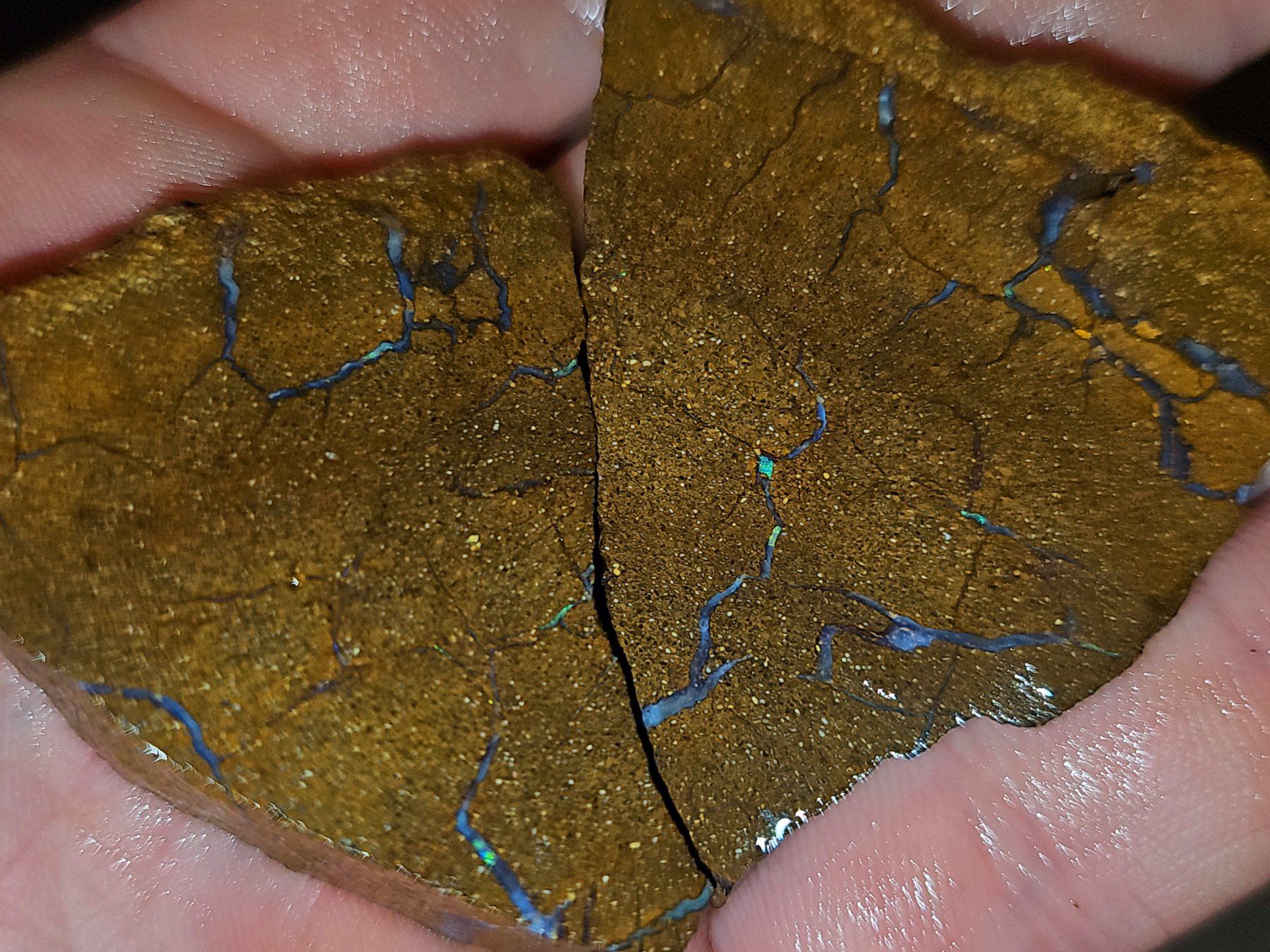Pierres précieuses: Grosses Australisches Boulderopal Rohstein Paar – Neuf avec emballage d'origine à Uerkheim par Winwinner 5