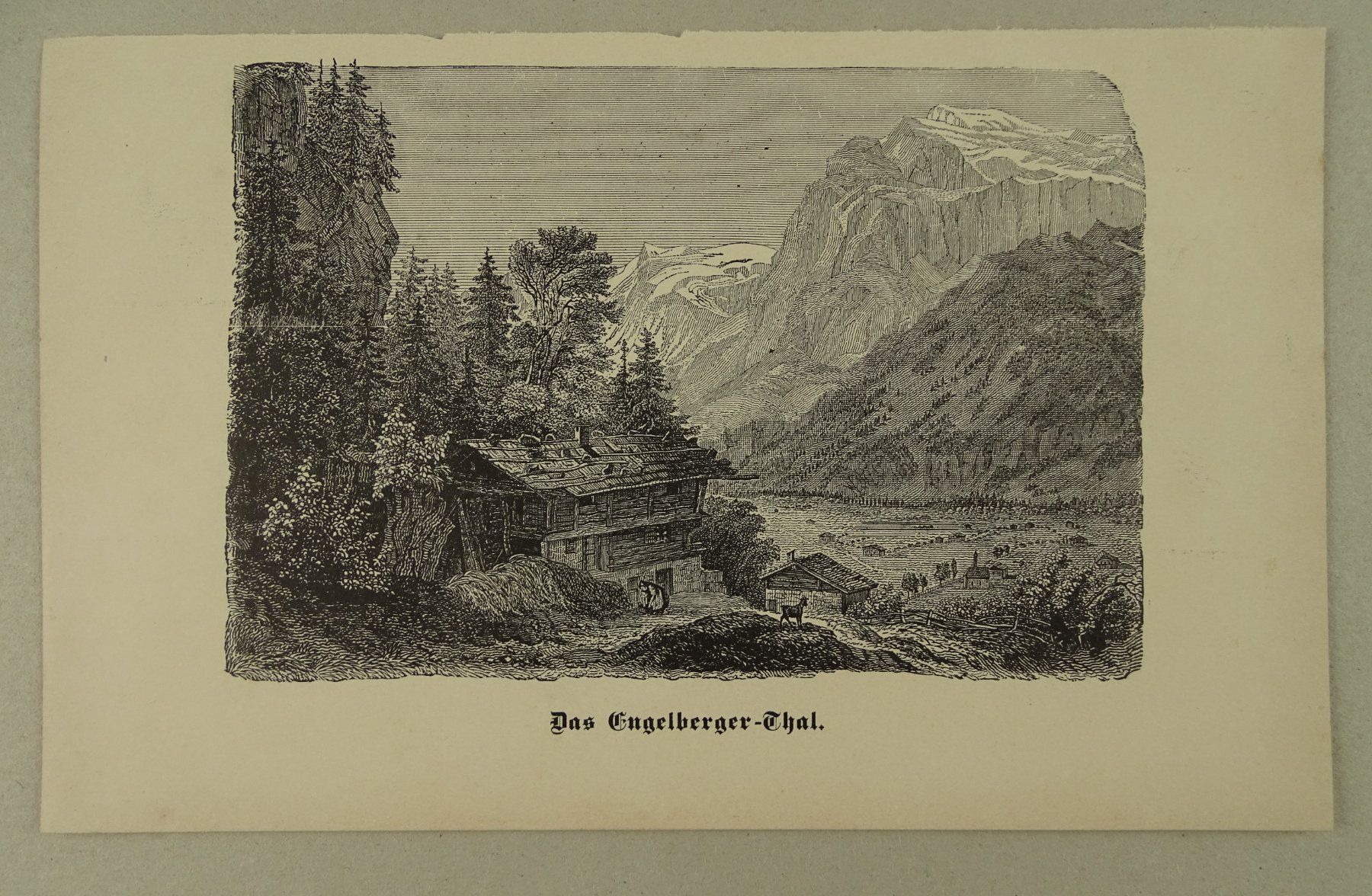 Incisioni: ENGELBERG TAL, HOLZSTICH 1894 – Usato da Grüningen venduto da Kartensammler 1