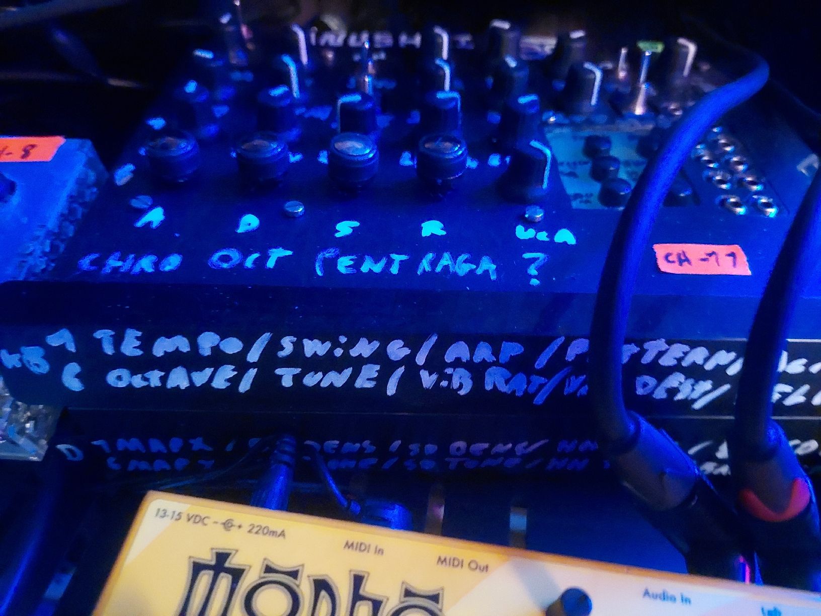 Strumenti musicali: Mutable Instrument Anushri with DIY box – Usato da Courtepin venduto da Organikal 1