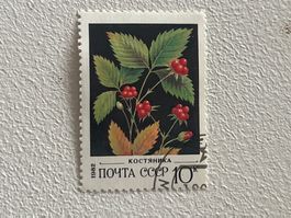 CCCP Briefmarken (Gratis-Versand)