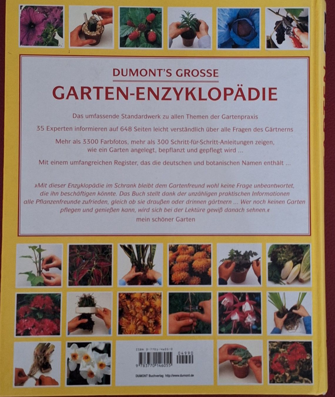 Libri: Buch Garten Enzyklopädie Dumont1994 – Usato da Oberriet SG venduto da Atir47 1
