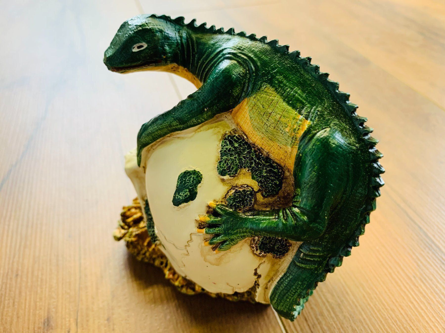 Sculture & Statue: Totenschädel Schädel SKULL Eidechse 11cm NEU – Nuovo e nell'imballaggio originale da Bergdietikon venduto da shopAgent 7