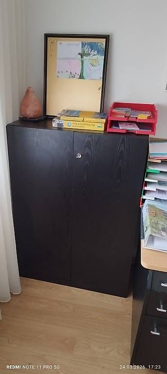 Cassettiere: Kommode für Büro – Usato da Roggwil BE venduto da the_k5gb