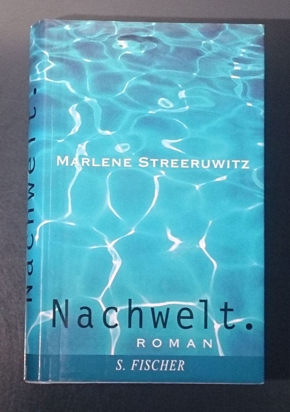 Livres: Nachwelt.: Ein Reisebericht – D'occasion à Dübendorf par Povo