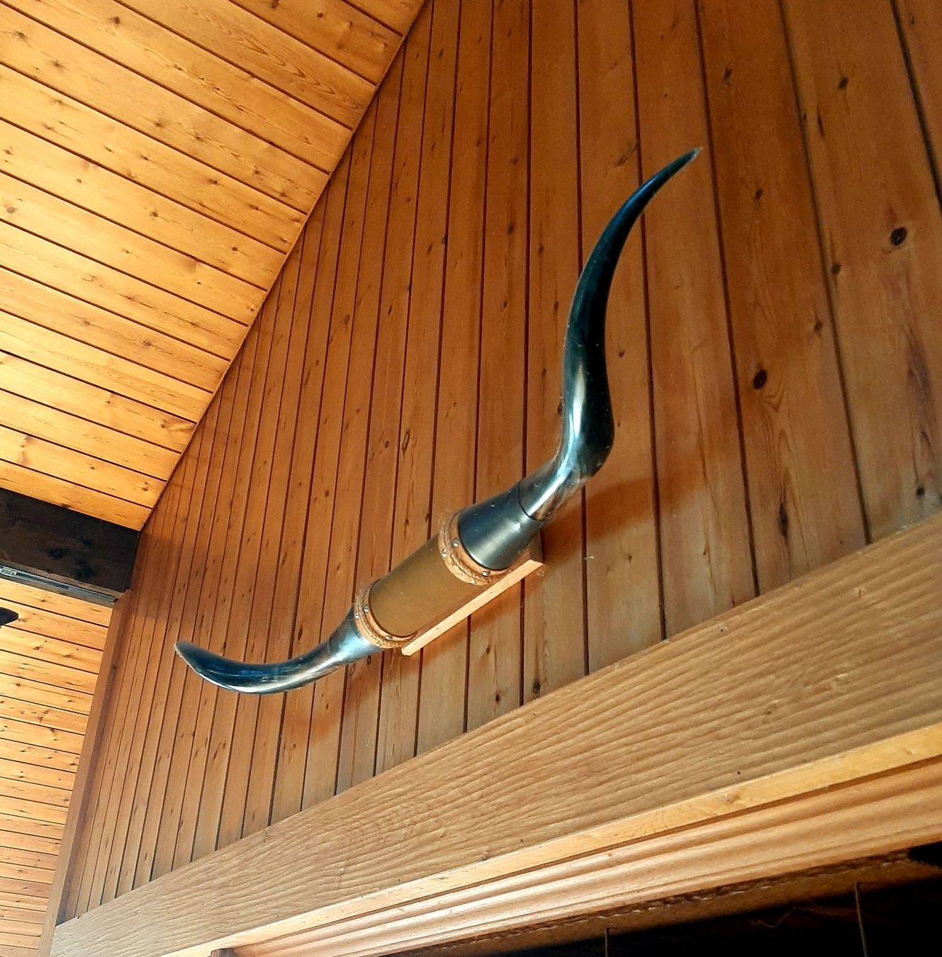 Tutte le decorazioni: Texas Longhorn – Usato da Stäfa venduto da mschurr11 2