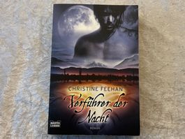 Christine Feehan – Verführer der Nacht | Karpatianer-Serie