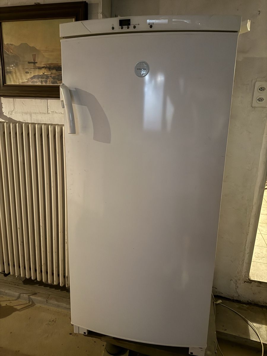 Congelatori: Gefrierschrank Elektrolux – Usato da St. Margrethen SG venduto da meg_6b9w