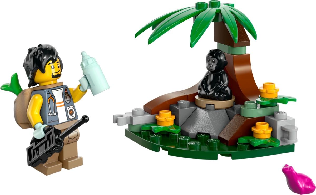 Lego Giocattoli: LEGO 30665 – Nuovo e nell'imballaggio originale da Oberbuchsiten venduto da roogz 1