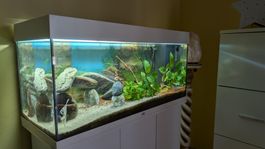 Acquario 160 litri completo