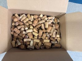 Weinkorken Sammlung im Karton (Masse 38x27x27cm)