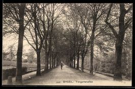 AK Basel, Tiergartenallee