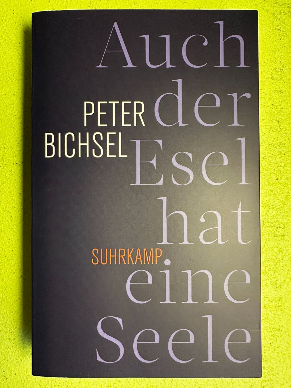 Libri: Peter Bichsel: Auch der Esel hat eine Seele – Usato da Zürich venduto da allp