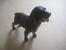 HUND