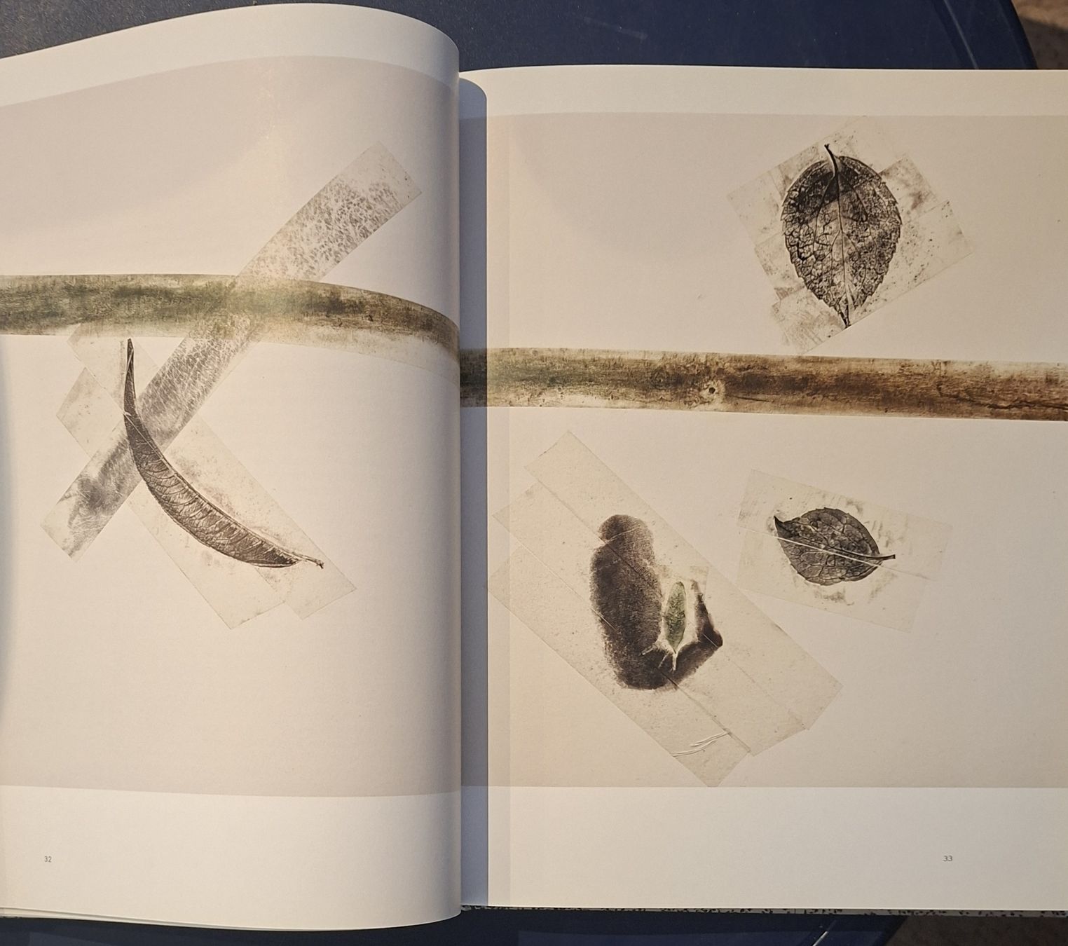 Bücher: Giuseppe Penone Buch Actes Sud Musee de Grenoble Buch – Neu (gemäss Beschreibung) aus Niederglatt ZH von Siegfried67 4