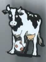 Kuh PIN