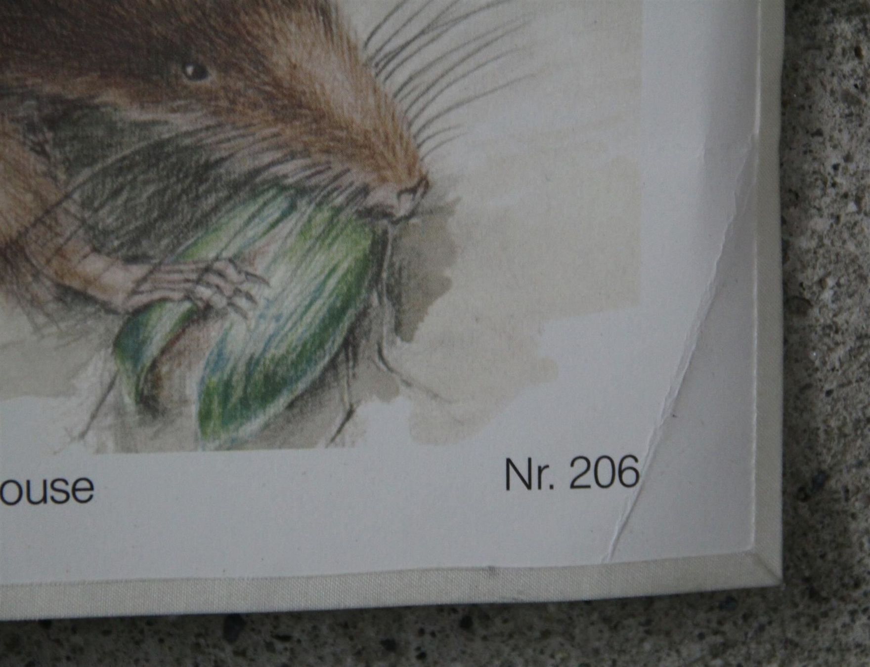 Poster & Bilder: Schulwandbild "Spitzmaus" Hans U. Weber – Gebraucht aus Birrwil von brandschatz_birrwil 3