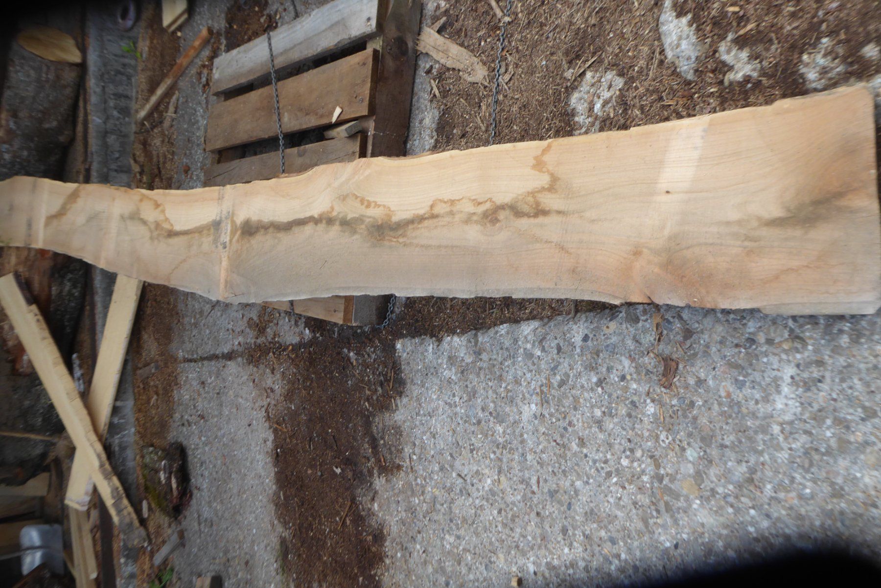 Holzartikel: 3 Kirschbaumbretter 40 mm – Neu (gemäss Beschreibung) aus Sumiswald von Hennri1 6