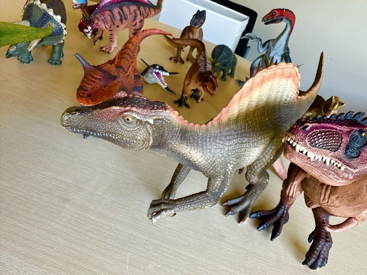 Livres: 14 Dinosaurier – D'occasion à zollikon par mme_kwf2 3