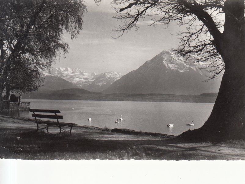 Cartoline postali: Thunersee 1960 – Usato da Bürglen TG venduto da StampGraf