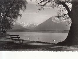Thunersee 1960