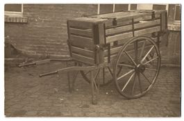 48 Fotografien Briwitzer, Friedländer F