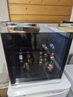 Kibernetik Getränkekühlschrank 48L