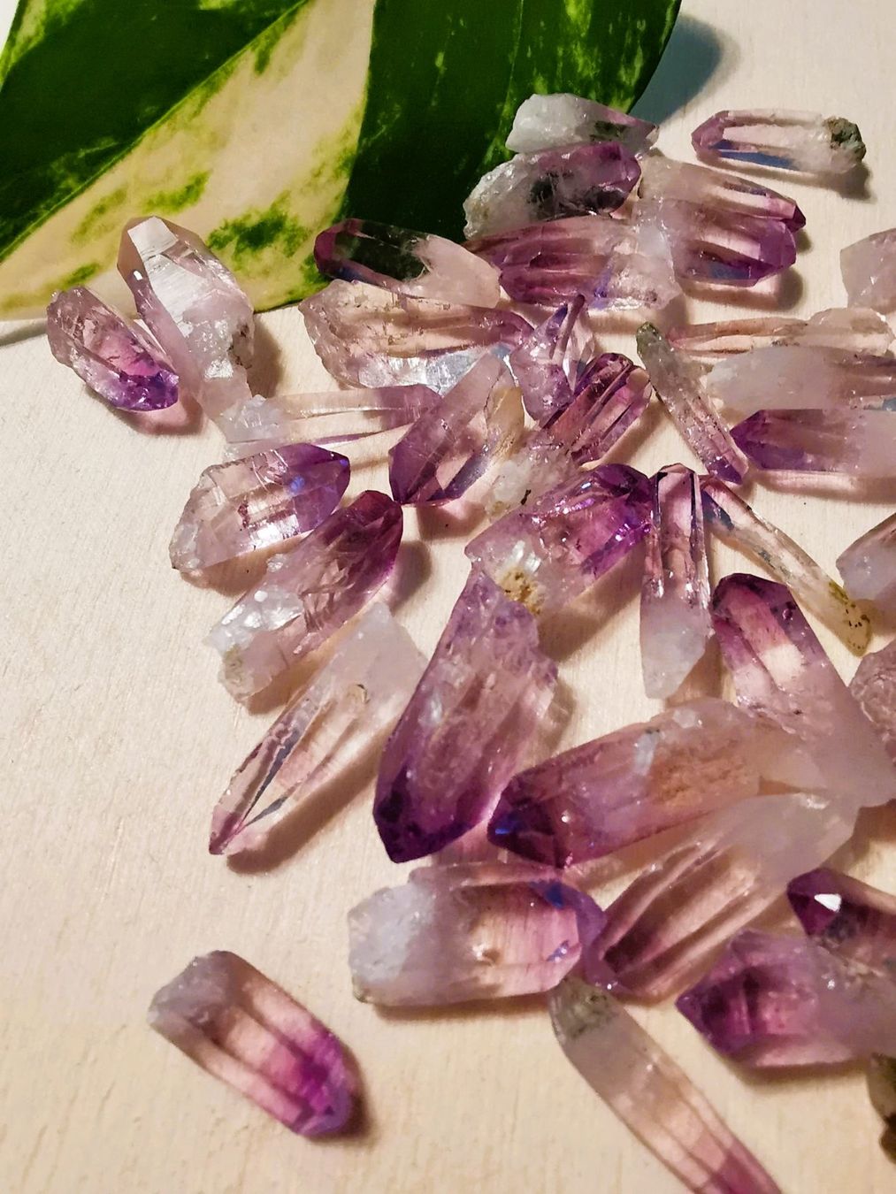 Minerali & Pietre curative: 1-2cm natürlich Amethyst-Kristall Spitzen – Nuovo e nell'imballaggio originale da Dierikon venduto da Buntspecht-10 8