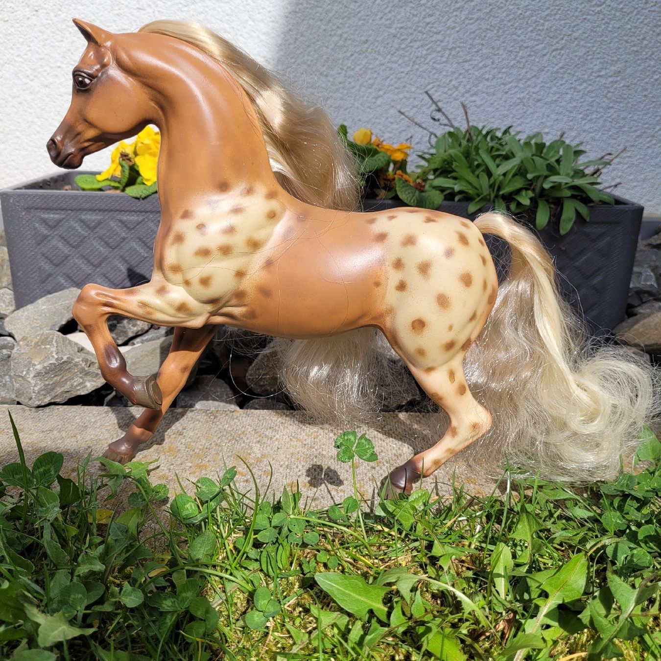 Giocattoli: Barbie Pferd Hengst Aslan Repaint Unikat – Usato da Niederbuchsiten venduto da klengyel 2