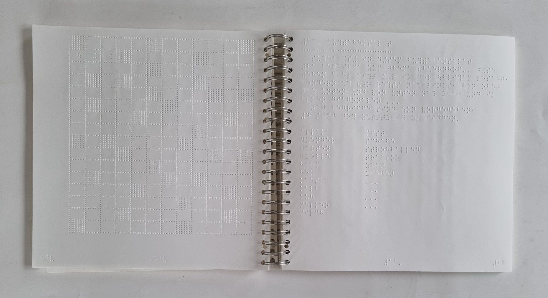 Libri: Brailleschrift-Buch Spiralblock – Usato da Opfikon venduto da Diversamente 4