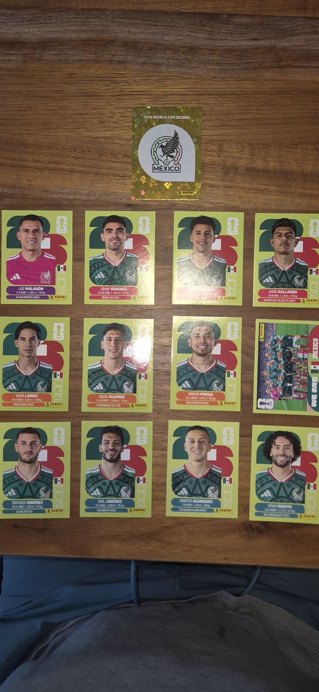 Panini Carte collezionabili: Mexico WC 2026 panini – Usato da Corminboeuf venduto da HugoMagic