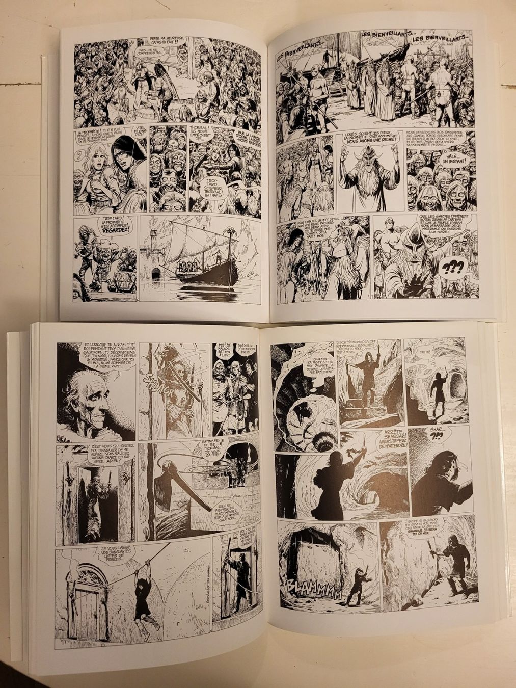Fumetti: BD Intégral Niffle Thorgal No 1 + 2 + 3 + 4 EO (TBE) – Usato da Palézieux-Village venduto da magic1980 2
