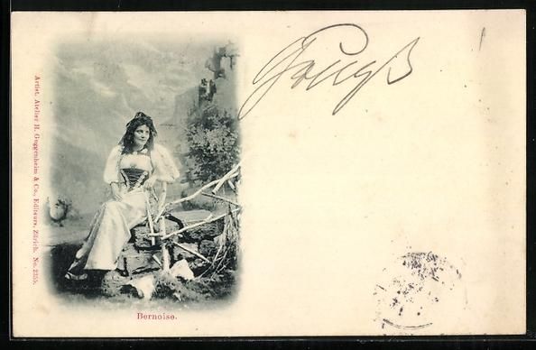 Cartoline postali: AK Bernerin in Tracht, 1899 – Usato da Berlin venduto da bartko-reher