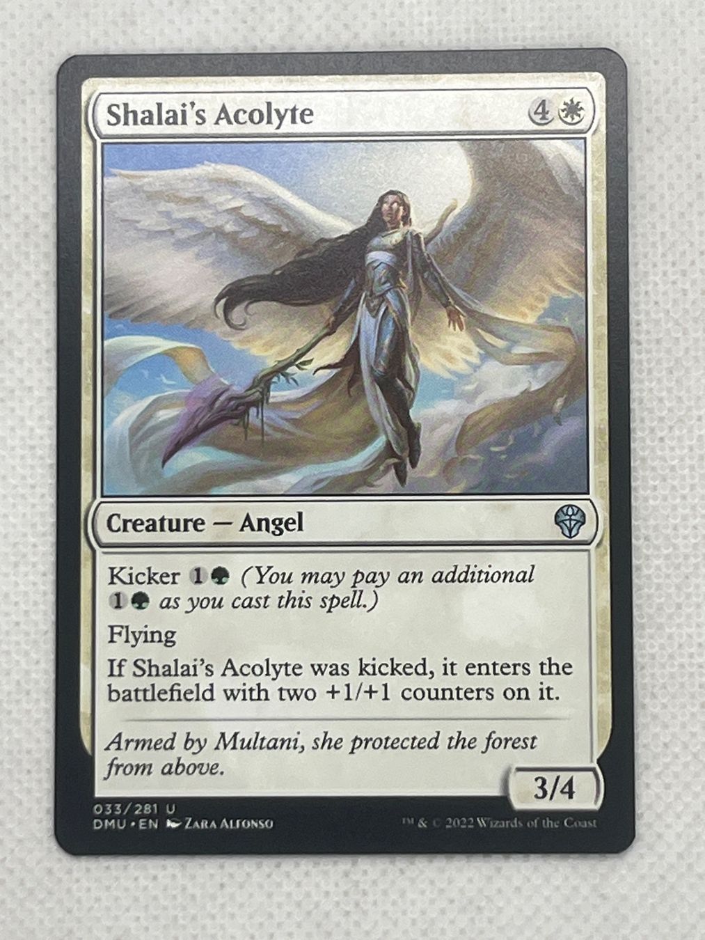 Magic The Gathering Cartes à collectionner: MTG Shalai’s Acolyte DMU 033 Englisch Uncommon – D'occasion à Hinterkappelen par Kim1992