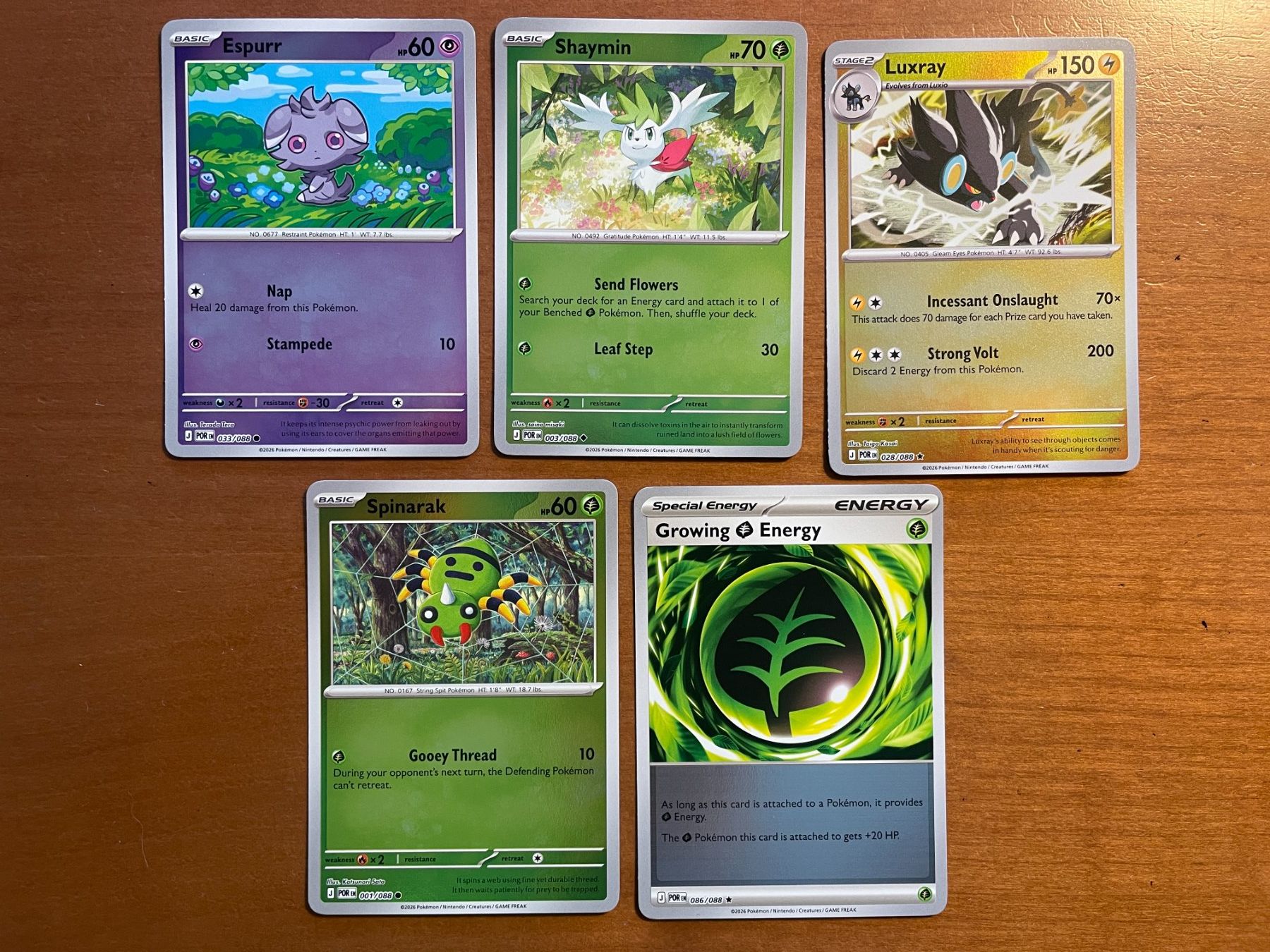 Pokémon Carte collezionabili: Pokemon Karten Set Reverse (Versand gratis) – Nuovo (secondo la descrizione) da Chur venduto da Angerson
